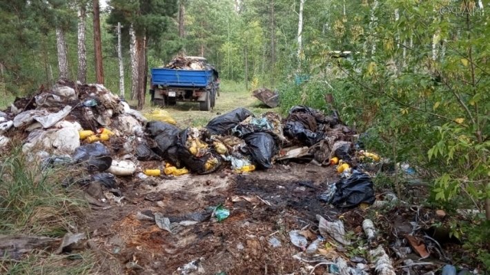 В России появится отрасль по переработке отходов I-II классов опасности в 2023 году