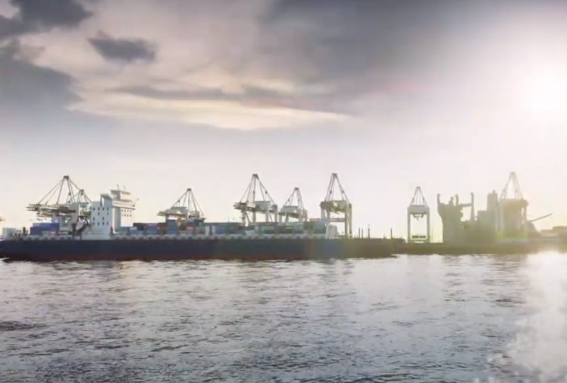 Строительство порта в Выборгском районе Ленобласти разрушит экологию – «ЭКОМ»